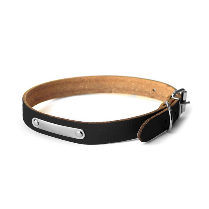 RECORD-HALSBAND MIT PLATTE SCHWARZ 4X65 C