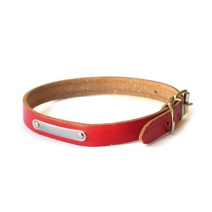 RECORD-HALSBAND MIT PLATTE ROT 4X65