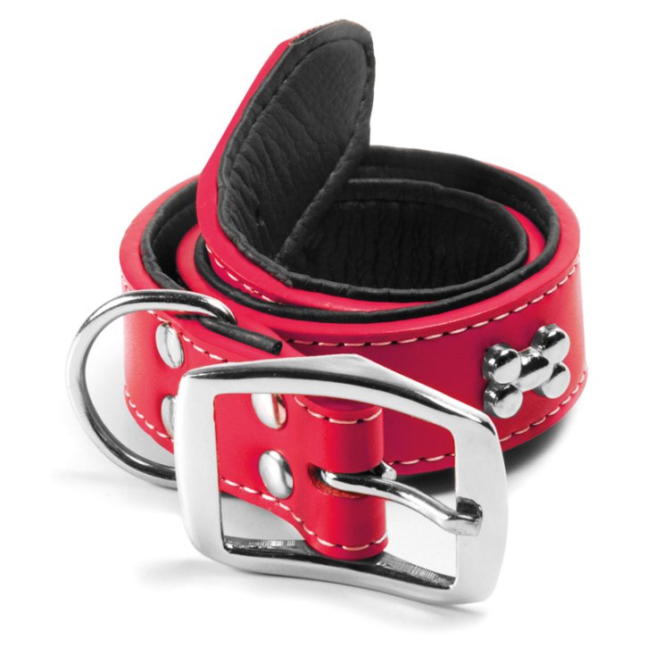 RECORD-HALSBAND AUS SILBEREM ECO-LEDER MIT OXY RO