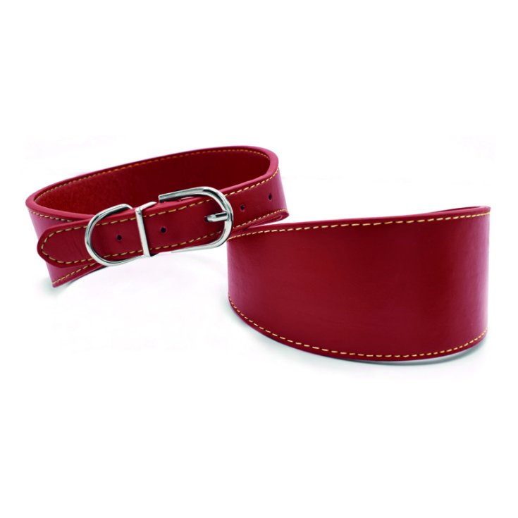 RECORD-Halsband aus massivem rotem Öko-Leder, 5 x 28 cm