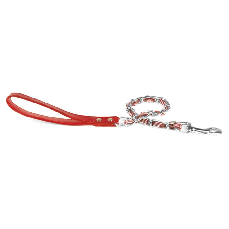 RECORD-LEINEKETTE UND NYLON S 2X100