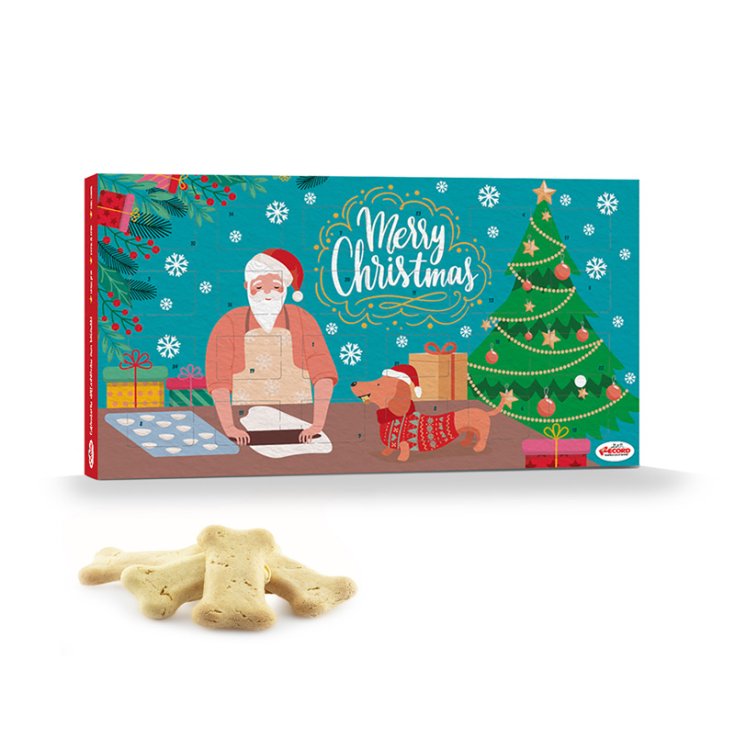 RECORD WEIHNACHTSKALENDER ADVENT BISC