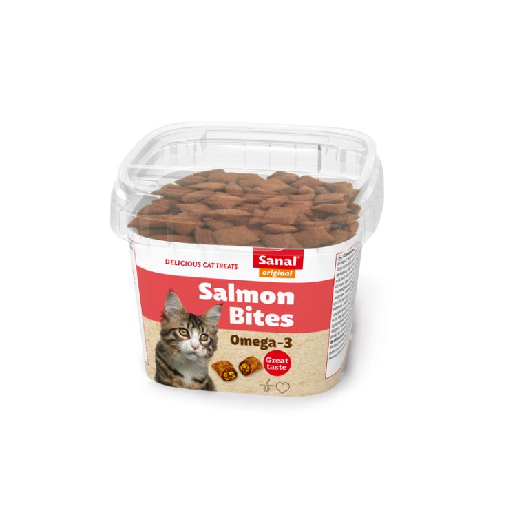 SANAL CHUNKS LACHS, KATZEN 18 X 26