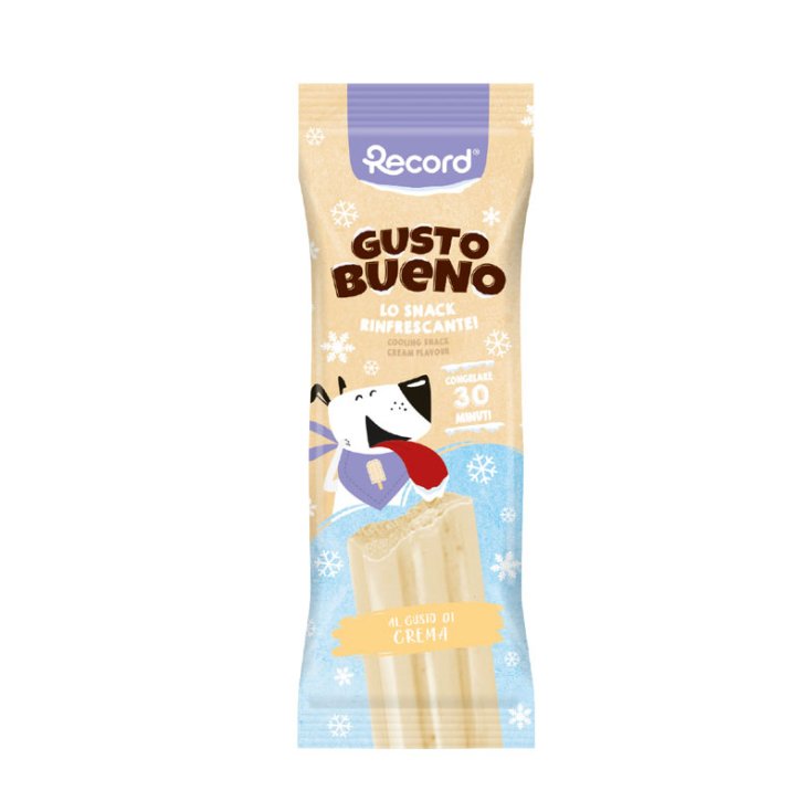 RECORD TASTE BUENO ERFRISCHENDES SNACK PE