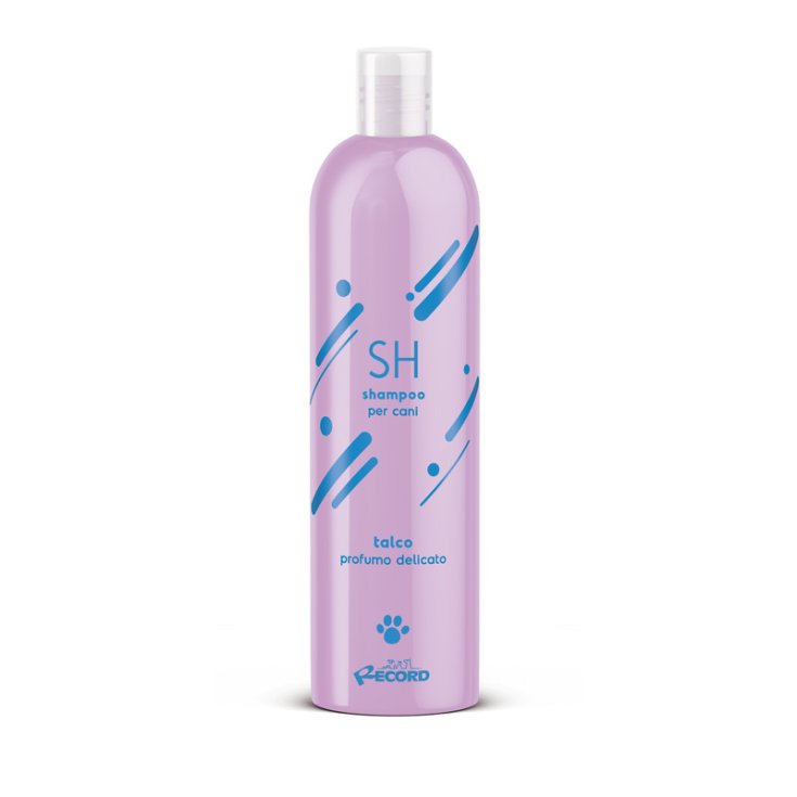 RECORD ZARTES SHAMPOO 0,25 L TALC