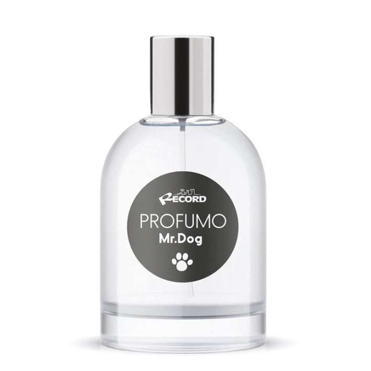 RECORD PARFÜM MR DOG 100ML