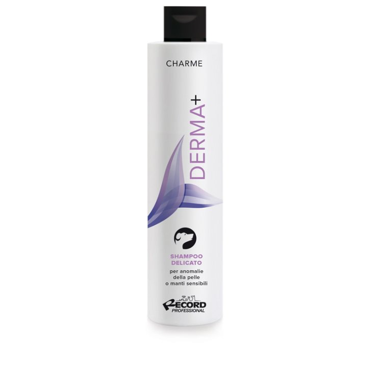 RECORD CHARME SHAMPOO 0,25 L DERMA+