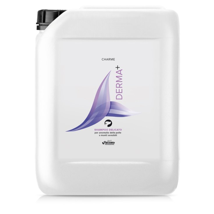 RECORD CHARME SHAMPOO 5 L DERMA+