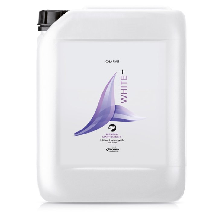 RECORD CHARME SHAMPOO WHITE+ 5 L