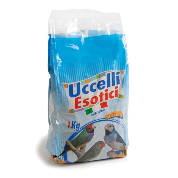 RECORD GEMISCHTE SAMEN EXTRA 1000 G VÖGEL E