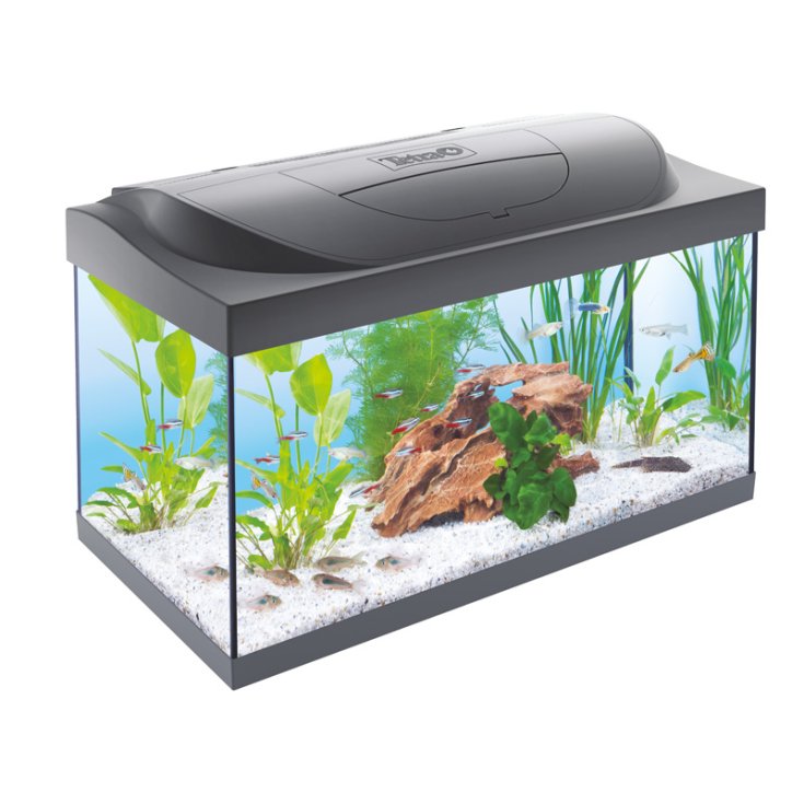 TETRA AQUARIUM STARTER SCHWARZ 54 L